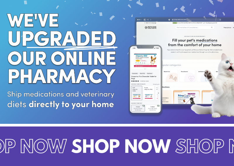 Carousel Slide 1: Kula online veterinary pharmacy