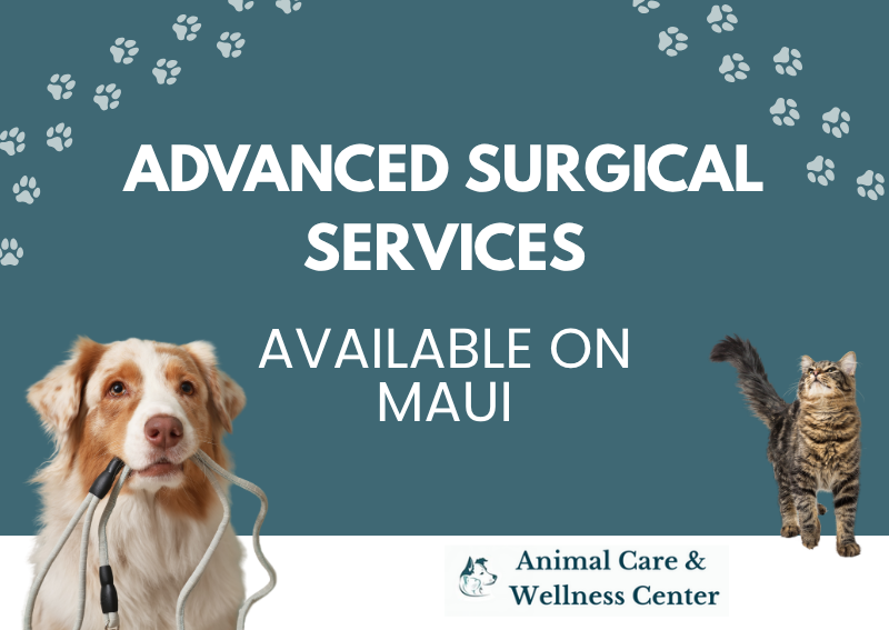 Carousel Slide 1: Book an appointment>>